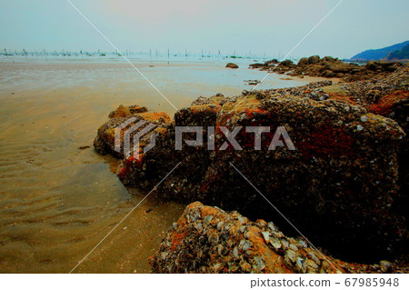 Tidal flat behind the tide 67985948