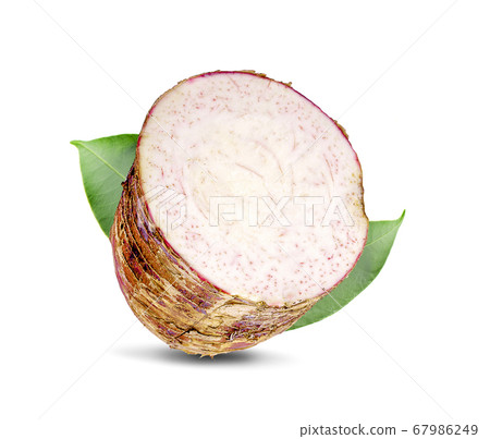 Taro, sliced of taro isolated on white background Taro, sliced of taro isolated on white background 67986249