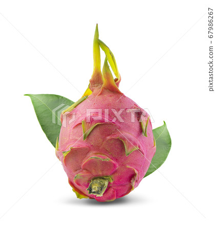 Dragon fruit isolated on white background Dragon fruit isolated on white background 67986267