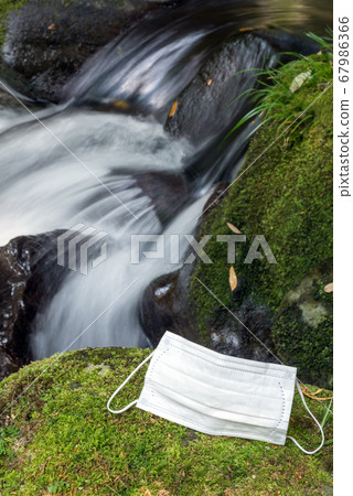 面具在綠色的青苔與沼澤的背面 67986366