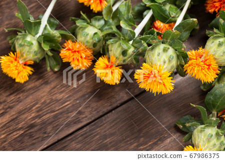 Close up of safflower flowers on the dark brown table 67986375