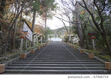 Kyokuzo Hourinji autumn leaves 67986734