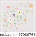 beige, flower, flowers 67986764