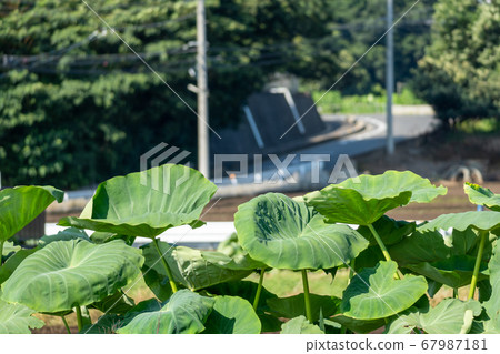 View the fields and road curves View the fields and road curves 67987181