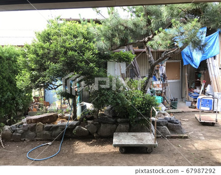 從房間看到的花園 67987292