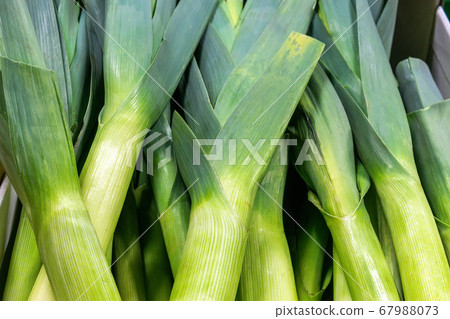 Raw green organic leeks ready to chop, close-up Raw green organic leeks ready to chop, close-up 67988073
