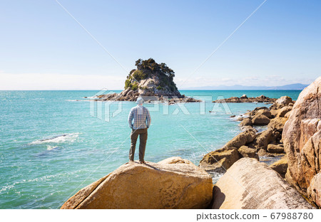 New Zealand coast 67988780