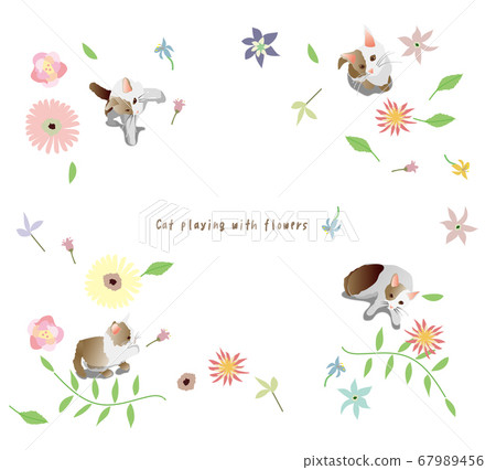 Flowers and cats Flowers and cats 67989456
