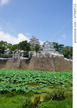 島原城堡的城堡塔和老虎的砲塔 67989515