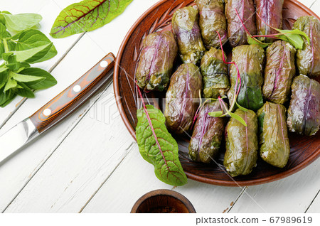 Delicious dolma or sarma 67989619