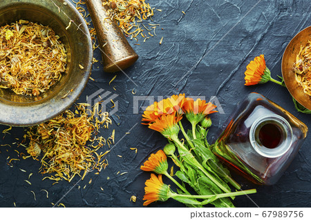 Marigold in herbal medicine 67989756