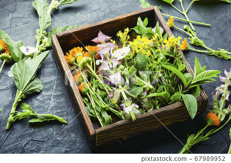 Healing herbs in box 67989952