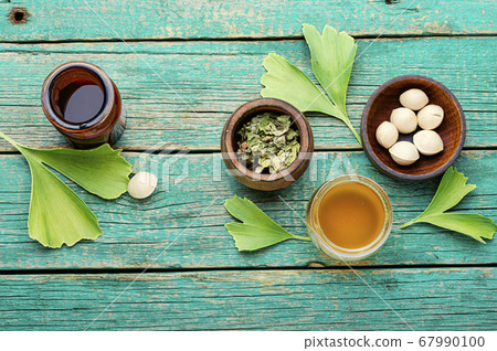 Ginkgo biloba in herbal medicine Ginkgo biloba in herbal medicine 67990100
