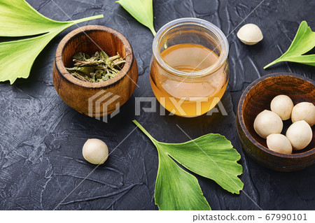 Ginkgo biloba in herbal medicine Ginkgo biloba in herbal medicine 67990101