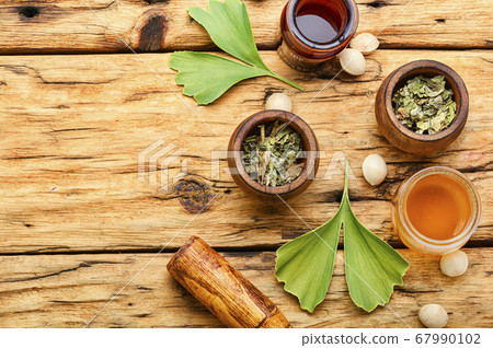 Ginkgo biloba in herbal medicine Ginkgo biloba in herbal medicine 67990102
