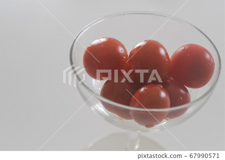 蕃茄 蕃茄 67990571