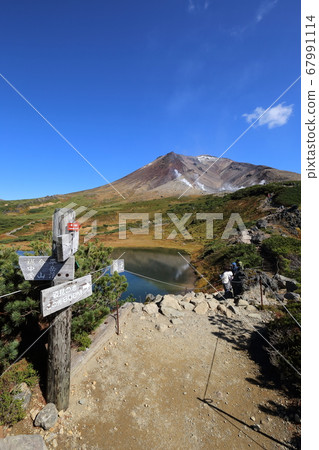 北海道東川秋天朝霞加賀美和路標 67991114