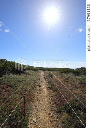 Hokkaido Higashikawa Autumn Asahidake Walking Path 67991118