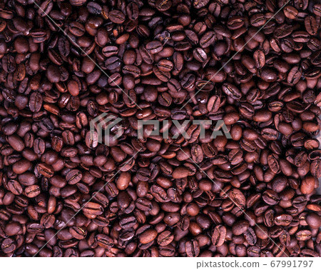Coffee bean seed 67991797