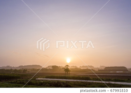 Sunrise in Minuma rice field, Saitama city, Saitama prefecture 67991810