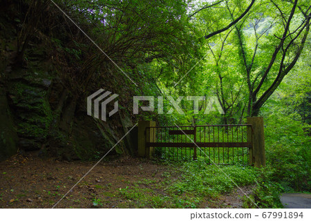 夏季山門 夏季山門 67991894
