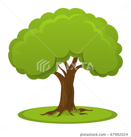 Summer tree with flat crown Summer tree with flat crown 67992024
