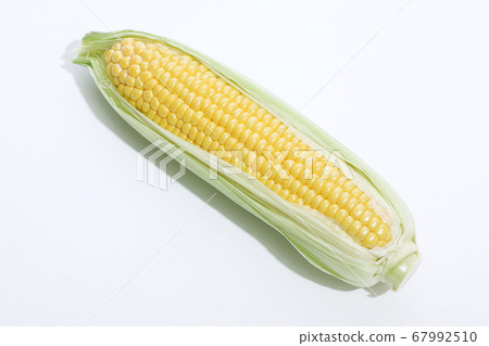 Fresh corn 67992510