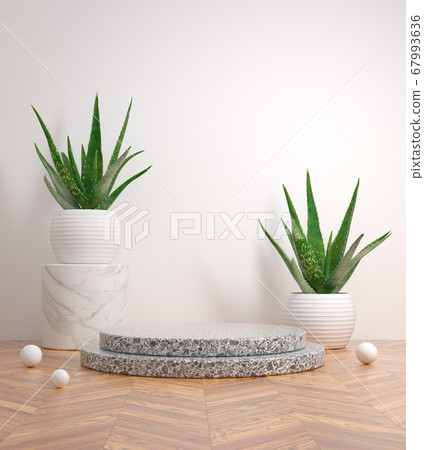 Mockup Aloe Vera Step Podium Black Marble On Wooden Floor 3d Render 67993636