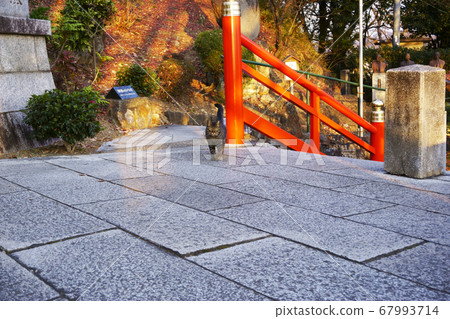 足利折姬神社 足利折姬神社 67993714