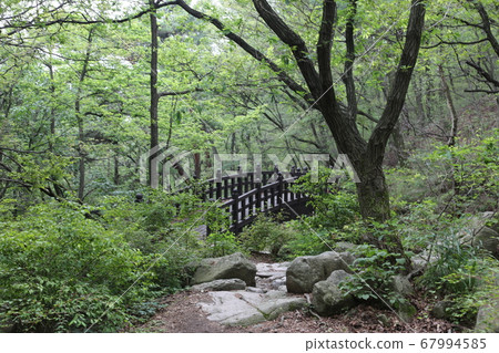 Bukhansan. National Park. Bohyeonbong. Waterfall Bukhansan. National Park. Bohyeonbong. Waterfall 67994585