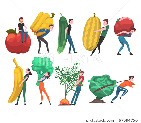 People Carrying Giant Vegetables and Fruits, Male and Female Farmers Characters Harvesting on Farm Vector Illustration People Carrying Giant Vegetables and Fruits, Male and Female Farmers Characters Harvesting on Farm Vector Illustration 67994750