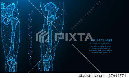 Blue polygonal illustration of hip and knee joint, 67994774