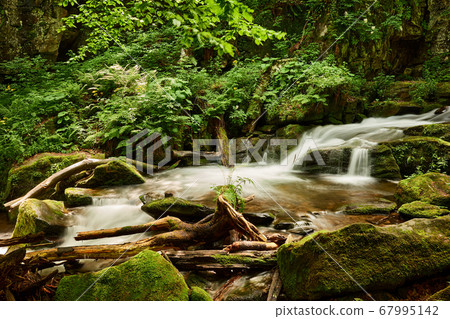 Calm flow of a mountain stream with shores overgrown with greenery. Voievodyn river, Sokolovi Skeli Reserve, Zakarpattia (Transcarpathia), Ukrainian Carpathians 67995142