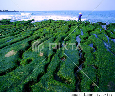 老梅綠色石糟,海岸地質景觀 67995145