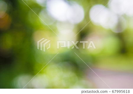 Green leaf bokeh background, abstract background Green leaf bokeh background, abstract background 67995618