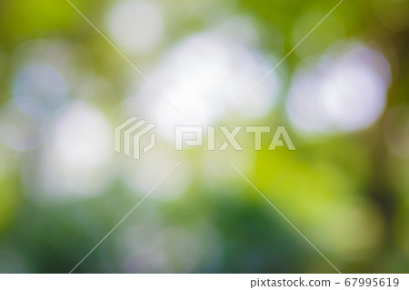 Green leaf bokeh background, abstract background Green leaf bokeh background, abstract background 67995619