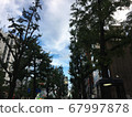 城市自然 67997878
