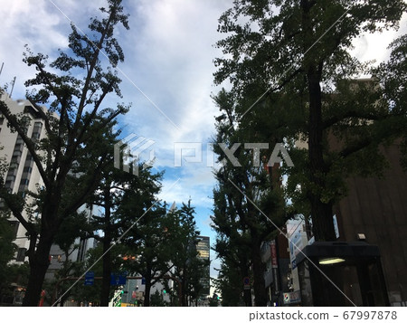 城市自然 城市自然 67997878