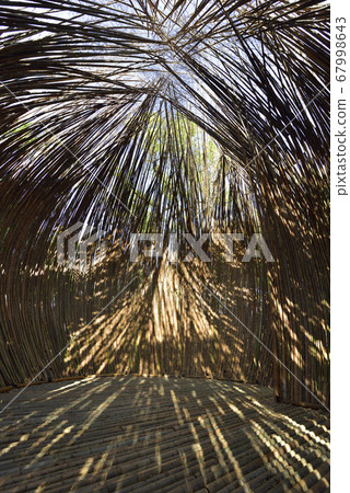 竹子建築物內部的自然光 67998643