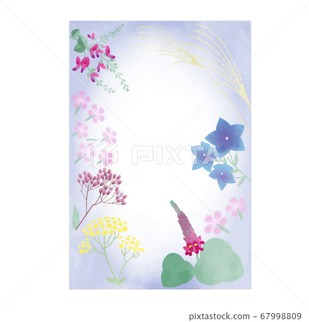 秋七草藥水彩明信片（EPS：鮮花和背景沒有隔離） 67998809