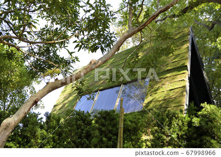 Eco-friendly wooden houses with green buildings 67998966