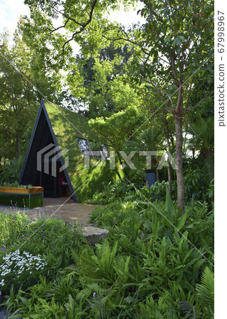 Eco-friendly wooden houses with green buildings 67998967