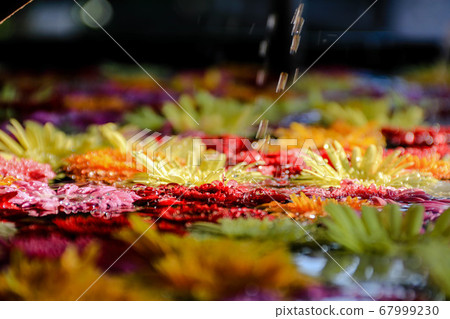 Hanatemizu of Fukuoka Kasuga Shrine Hanatemizu of Fukuoka Kasuga Shrine 67999230