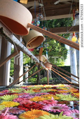 福岡春日神社的花水 福岡春日神社的花水 67999283