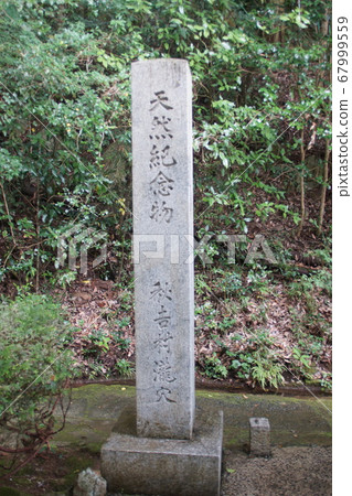 Akiyon-dong 67999559