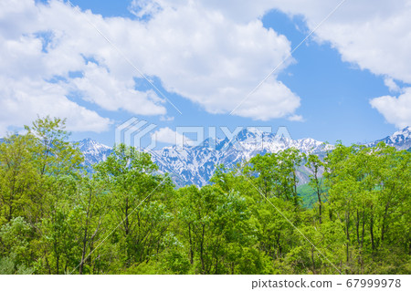 Fresh greenery and Mt. Goryu [Hakuba Village in early summer] 67999978