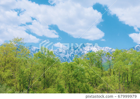 新鮮的綠化和高柳山[初夏的白馬村] 67999979