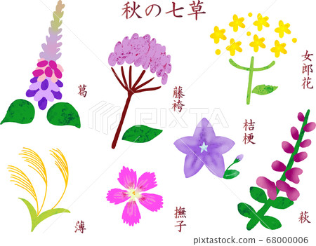 Autumn seven herbs icon with name Autumn seven herbs icon with name 68000006
