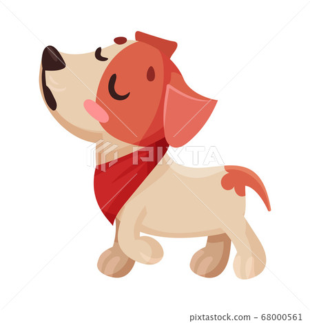 Funny Jack Russell Terrier Character Walking with Dissatisfied Muzzle Vector Illustration 68000561