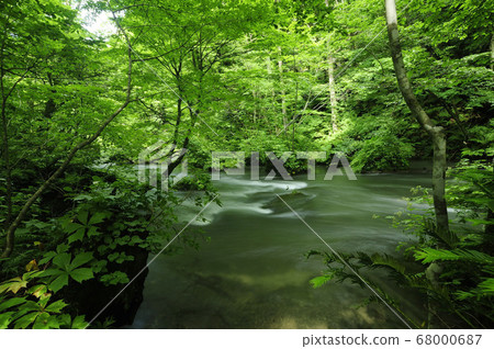 Oirase stream Oirase stream 68000687